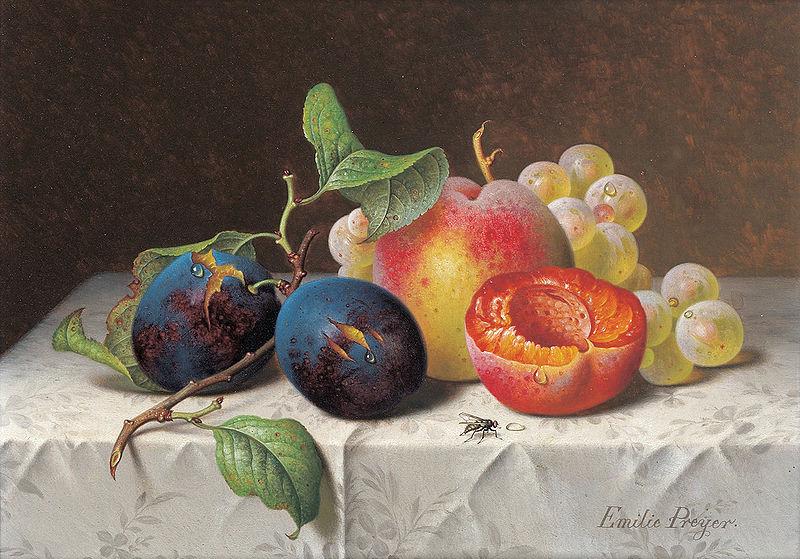 unknow artist Still Life of Fruit